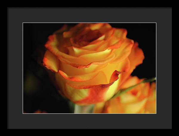 Raw Flowers 7 - Framed Print