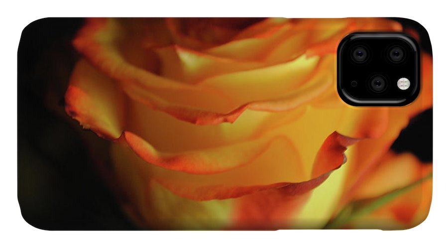 Raw Flowers 7 - Phone Case
