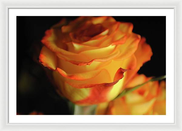 Raw Flowers 7 - Framed Print