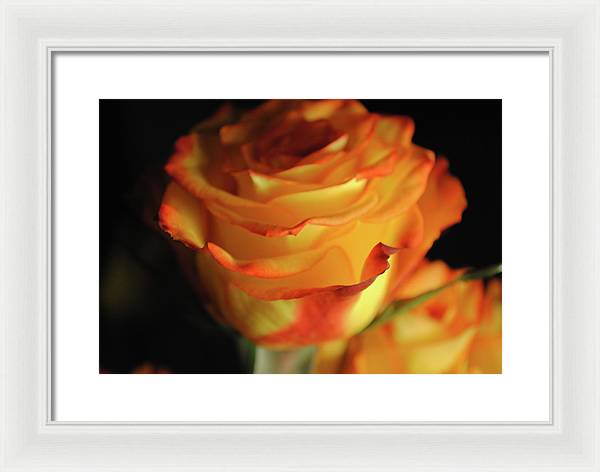 Raw Flowers 7 - Framed Print