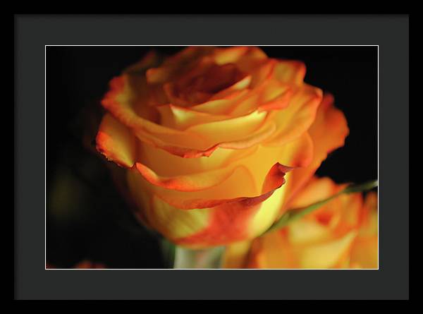 Raw Flowers 7 - Framed Print