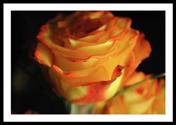 Raw Flowers 7 - Framed Print