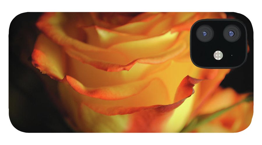 Raw Flowers 7 - Phone Case