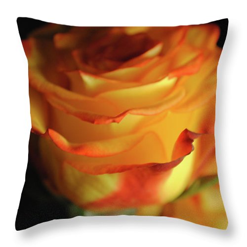 Raw Flowers 7 - Throw Pillow