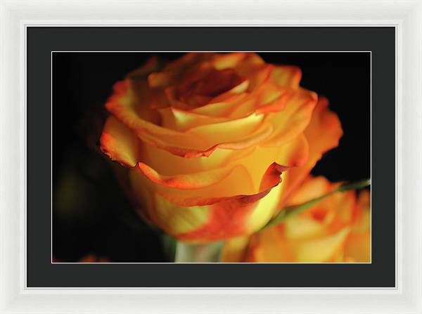 Raw Flowers 7 - Framed Print