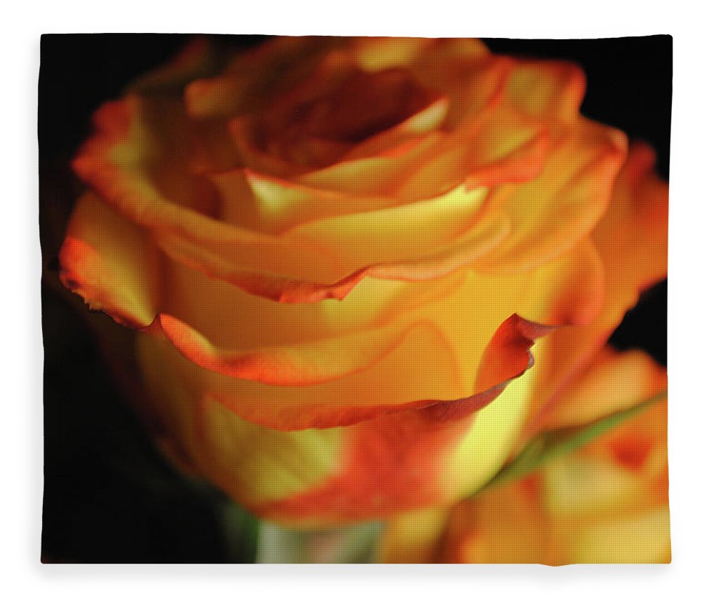 Raw Flowers 7 - Blanket