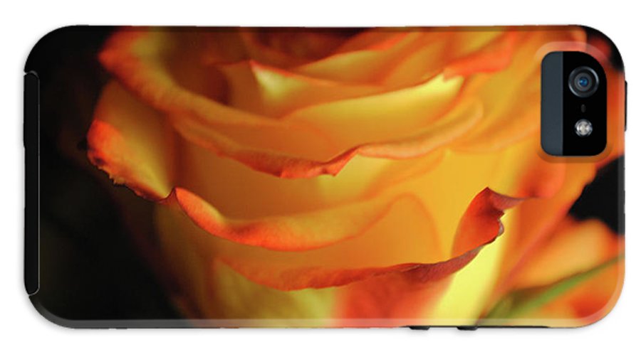 Raw Flowers 7 - Phone Case