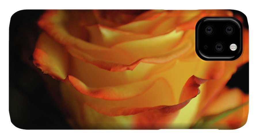 Raw Flowers 7 - Phone Case