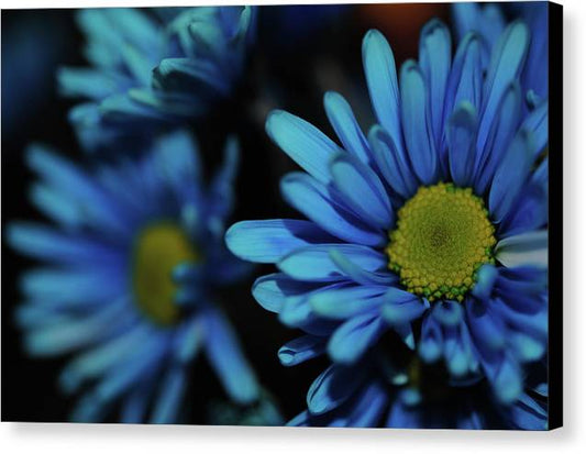 Raw Flowers 8 - Canvas Print