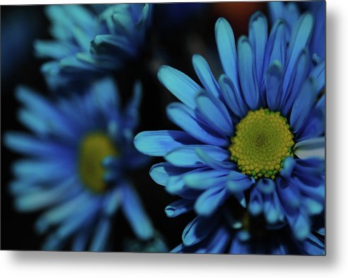Raw Flowers 8 - Metal Print