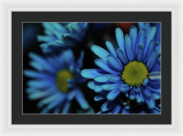 Raw Flowers 8 - Framed Print