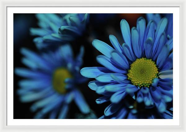 Raw Flowers 8 - Framed Print