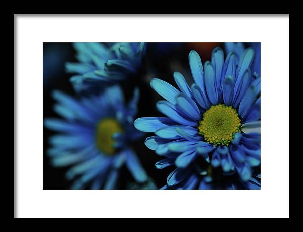 Raw Flowers 8 - Framed Print