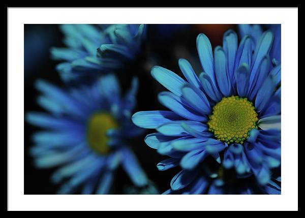 Raw Flowers 8 - Framed Print