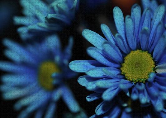 Raw Flowers 8 - Puzzle