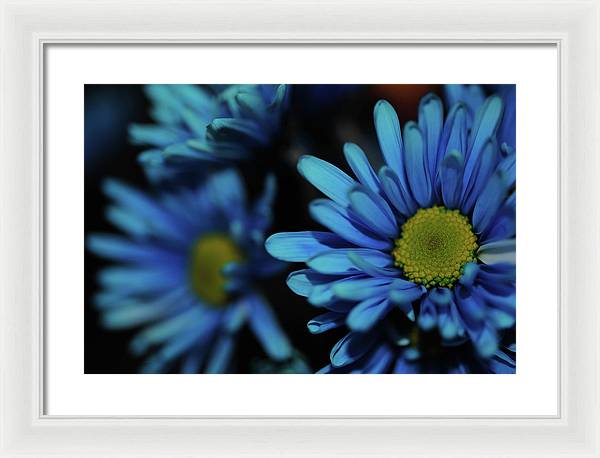 Raw Flowers 8 - Framed Print