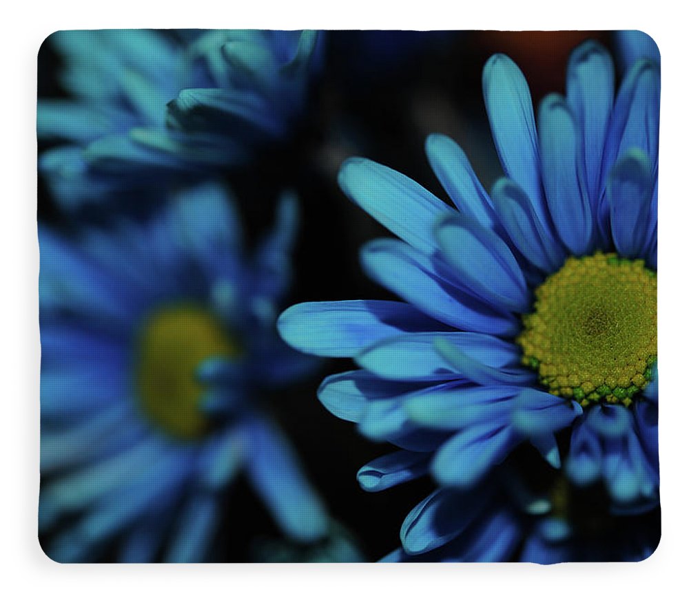 Raw Flowers 8 - Blanket