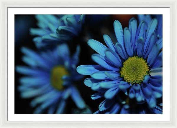 Raw Flowers 8 - Framed Print
