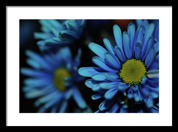 Raw Flowers 8 - Framed Print