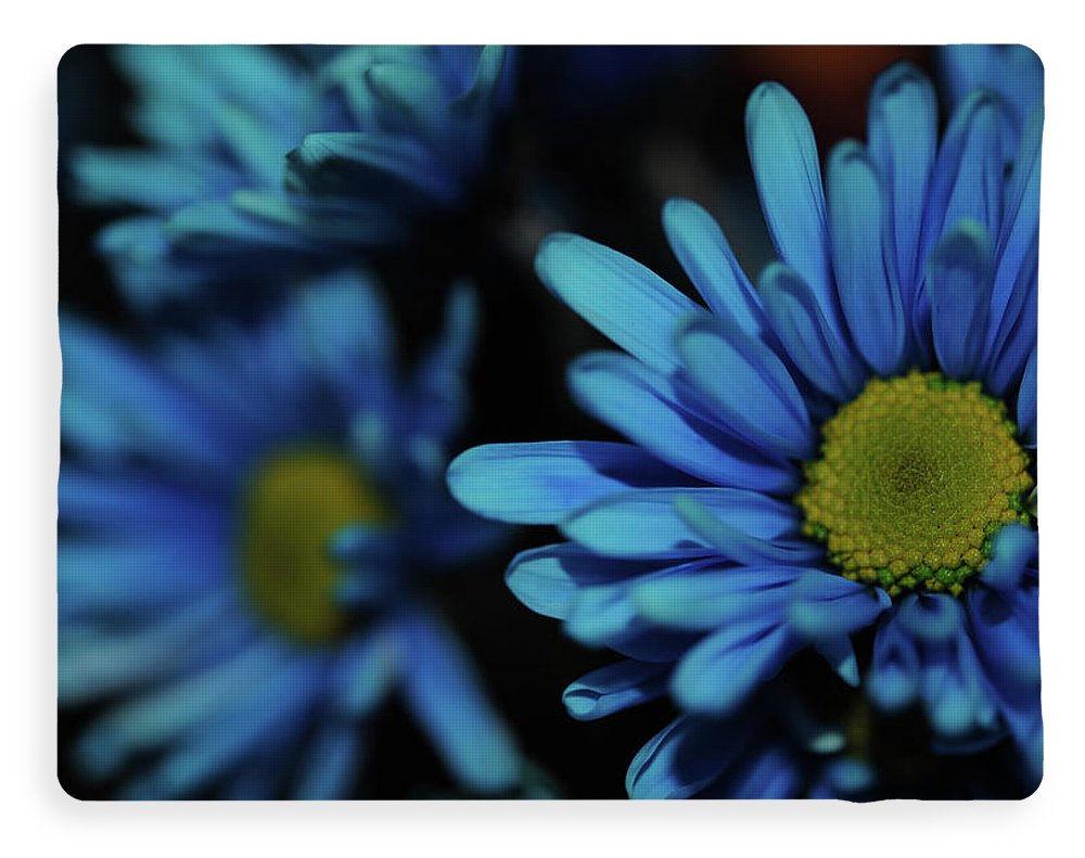 Raw Flowers 8 - Blanket