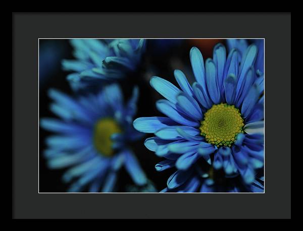 Raw Flowers 8 - Framed Print