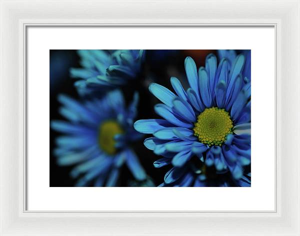 Raw Flowers 8 - Framed Print