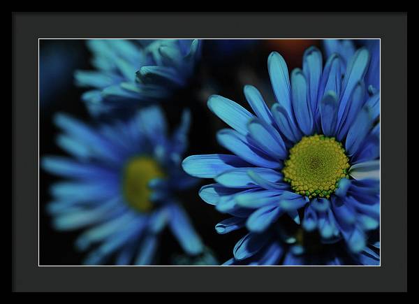 Raw Flowers 8 - Framed Print