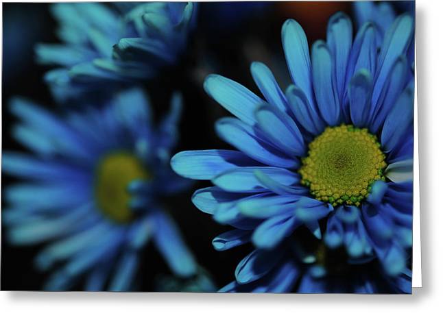 Raw Flowers 8 - Greeting Card
