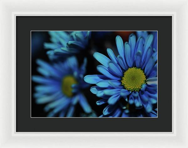 Raw Flowers 8 - Framed Print