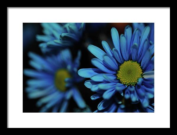 Raw Flowers 8 - Framed Print