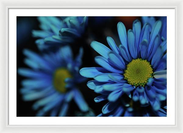 Raw Flowers 8 - Framed Print
