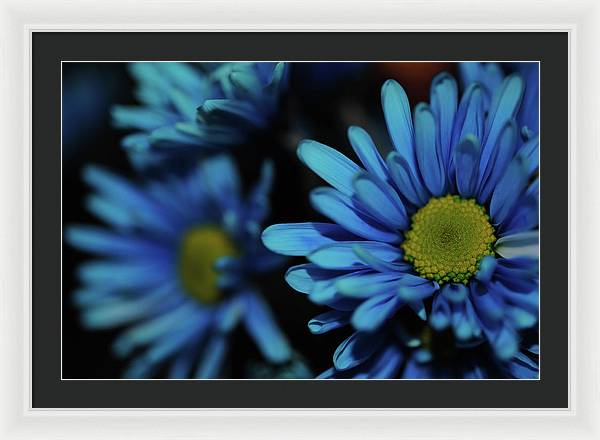 Raw Flowers 8 - Framed Print