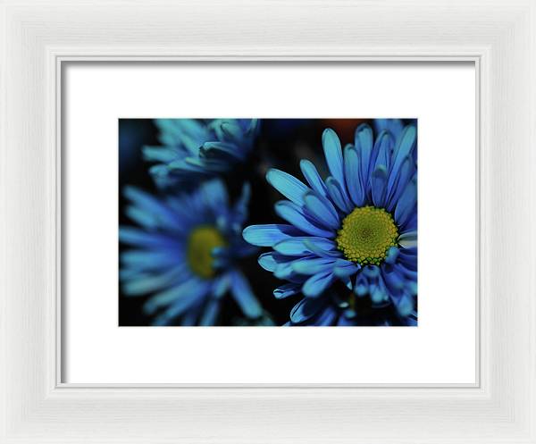 Raw Flowers 8 - Framed Print