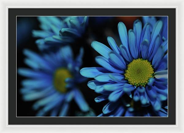 Raw Flowers 8 - Framed Print