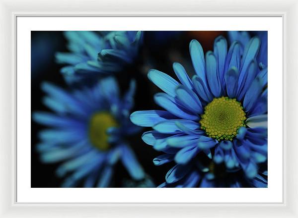 Raw Flowers 8 - Framed Print