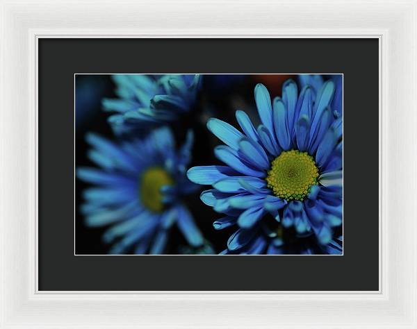 Raw Flowers 8 - Framed Print
