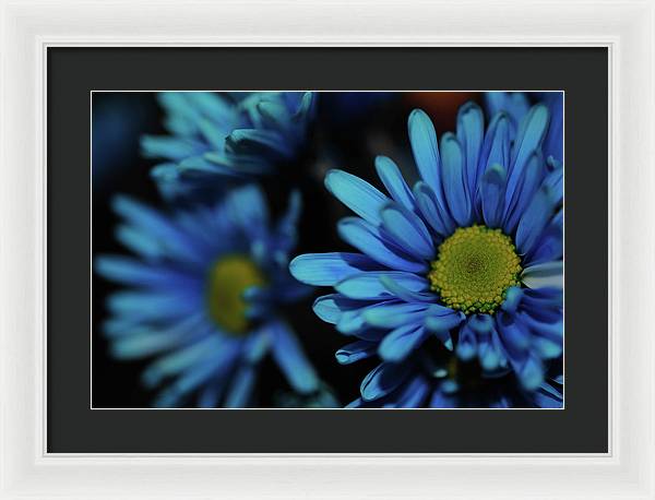 Raw Flowers 8 - Framed Print