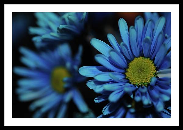 Raw Flowers 8 - Framed Print