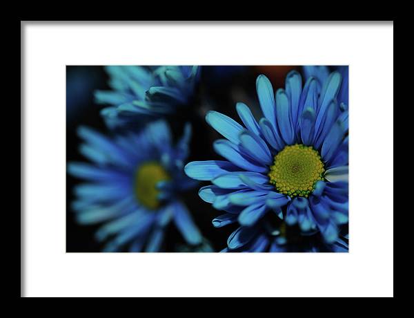 Raw Flowers 8 - Framed Print