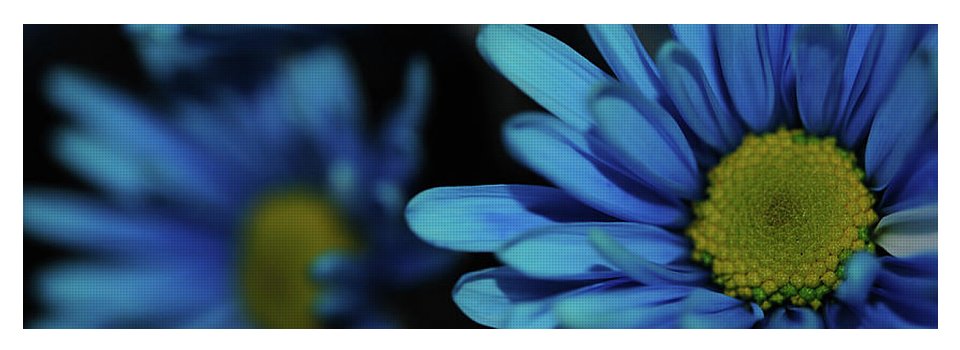Raw Flowers 8 - Yoga Mat