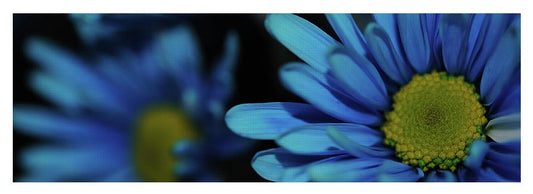 Raw Flowers 8 - Yoga Mat