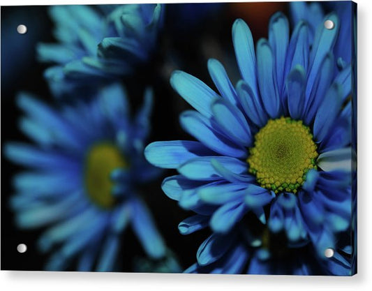 Raw Flowers 8 - Acrylic Print
