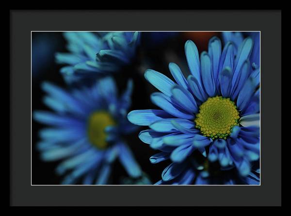 Raw Flowers 8 - Framed Print