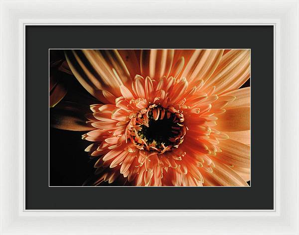 Raw Flowers 9 - Framed Print