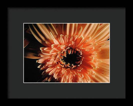 Raw Flowers 9 - Framed Print