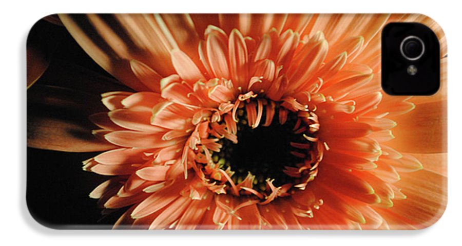Raw Flowers 9 - Phone Case