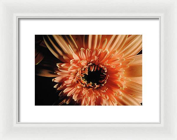 Raw Flowers 9 - Framed Print