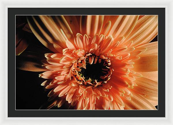 Raw Flowers 9 - Framed Print