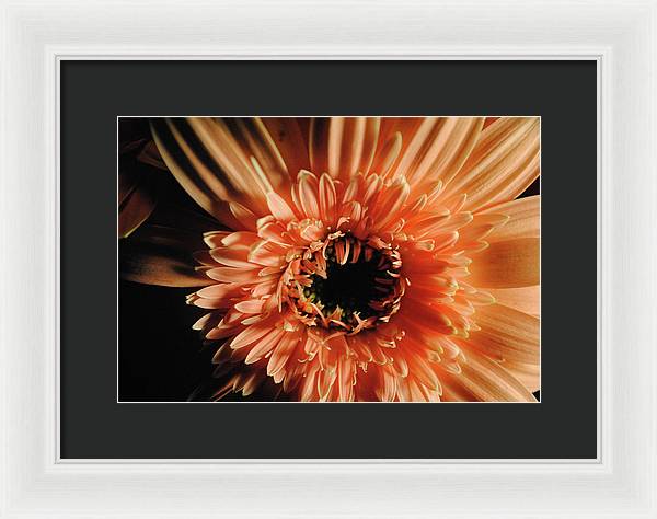 Raw Flowers 9 - Framed Print