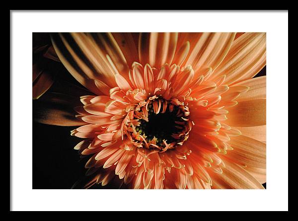 Raw Flowers 9 - Framed Print